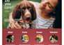 create classified ads and listing directory wordpress website
